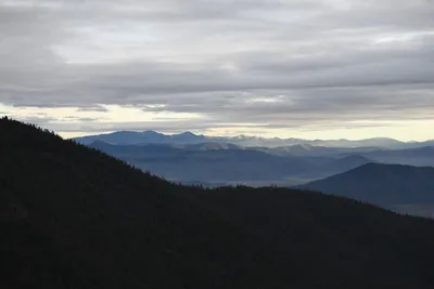 DSC_0097 (Large).JPG